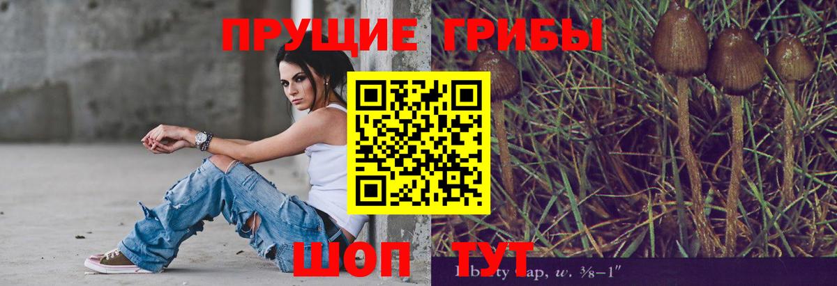 Псилоцибиновые грибы MAGIC MUSHROOMS  как найти наркотики  Ахтубинск  Вход с VPN  Псилоцибиновые грибы ЛСД 