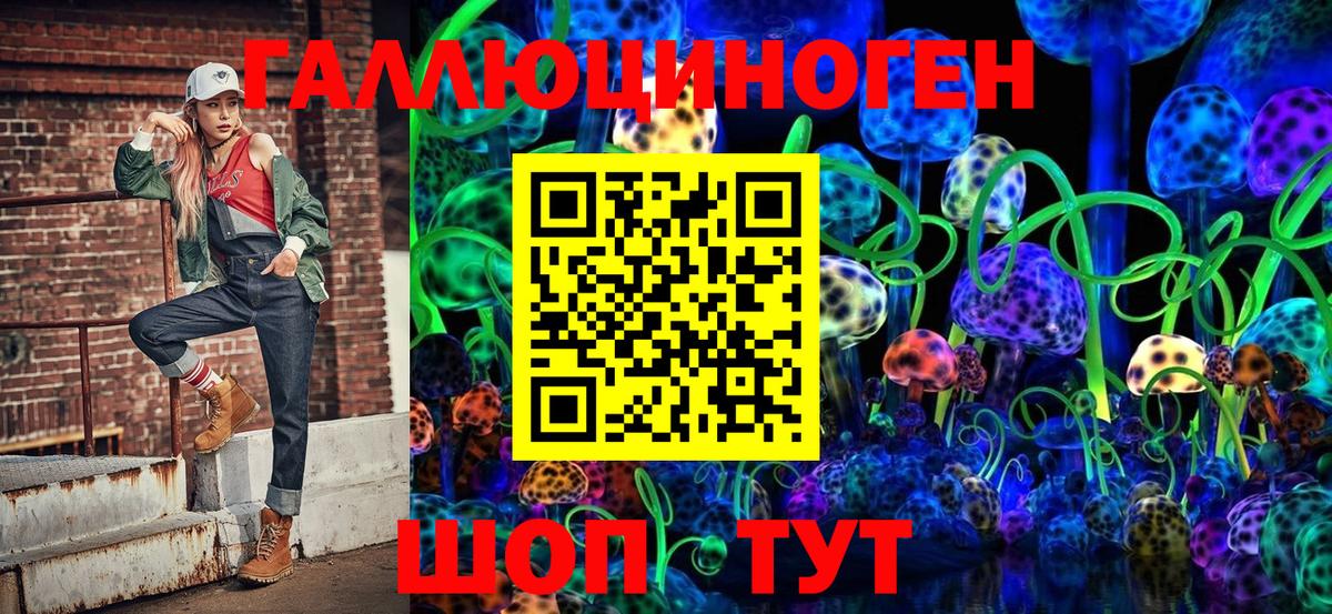 Галлюциногенные грибы Psilocybine cubensis Ахтубинск